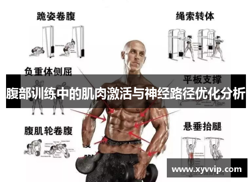 腹部训练中的肌肉激活与神经路径优化分析